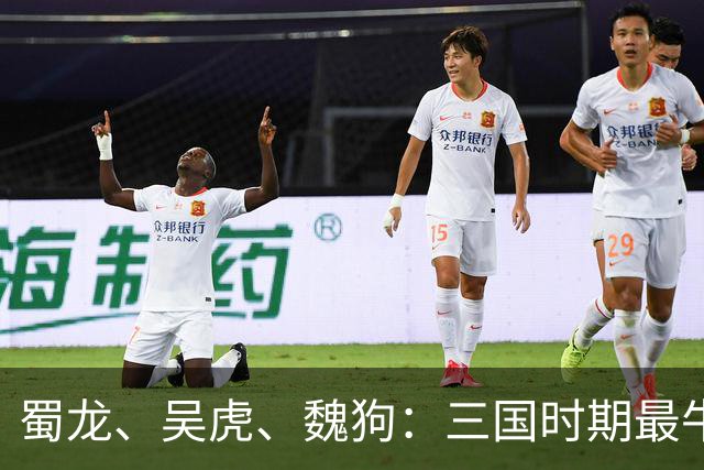 蜀龙、吴虎、魏狗：三国时期最牛的家族风投